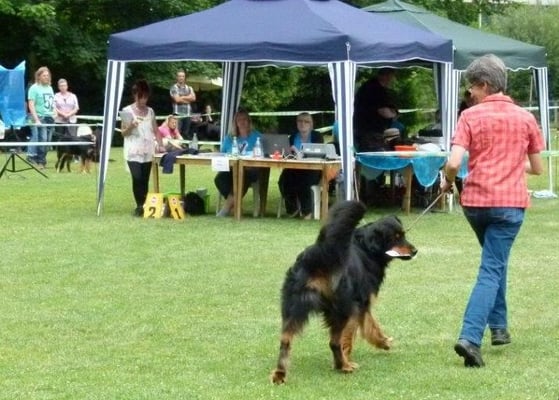 ... und geb`s so schnell nicht wieder her :)