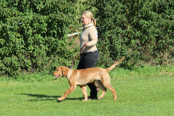 Mailo vom Hervester Hof