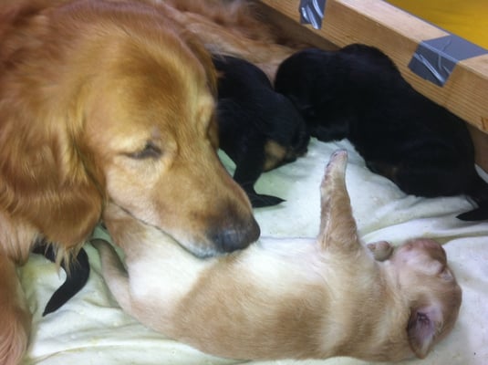 Thaler, wie gewohnt perfekt ...