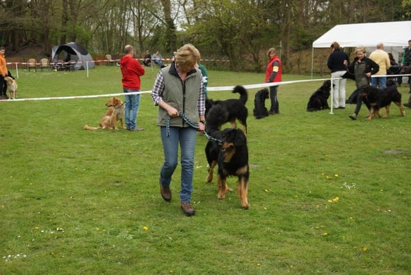Komm, wir gehen zusammen
