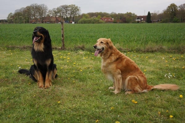 Bjarny ( links und Thaler zum Fotoshooting nach Schau und innigen Spiel