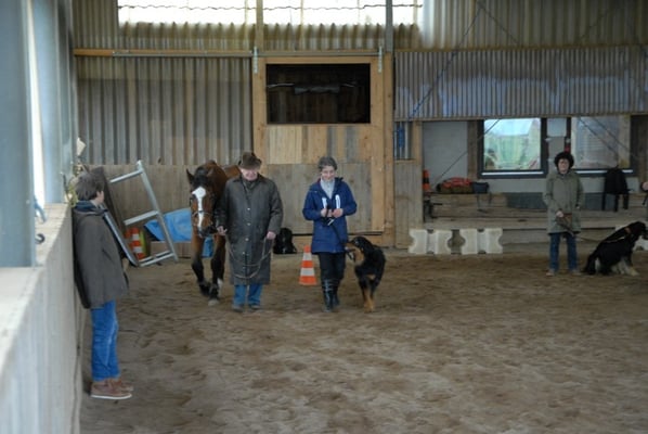 Baki findet sich auch klasse