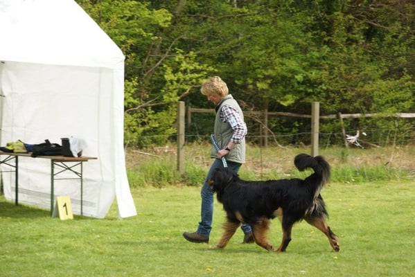 Mache ich alles richtig Edith?