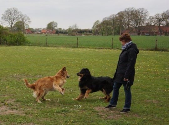 Thalers Freudenhüpfer nachdem sie ihren Sohn 10 Monate nicht mehr gesehen hatte