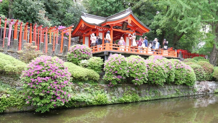 見どころがたくさんの根津神社ですが、人出が多く、とてもそこまで見ていられません