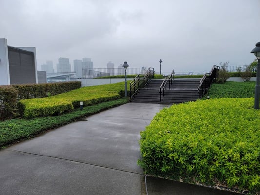 屋上から眺めると...