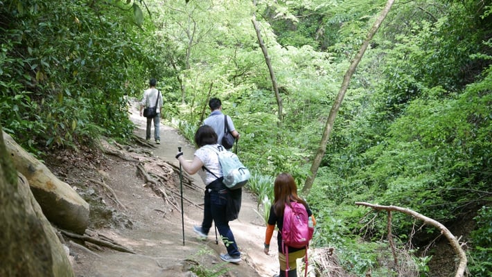 1号路とはだいぶ登山道の感じも違いますね。
