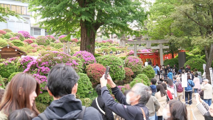 開催されていたつつじ祭りのため、境内は人でごった返しています