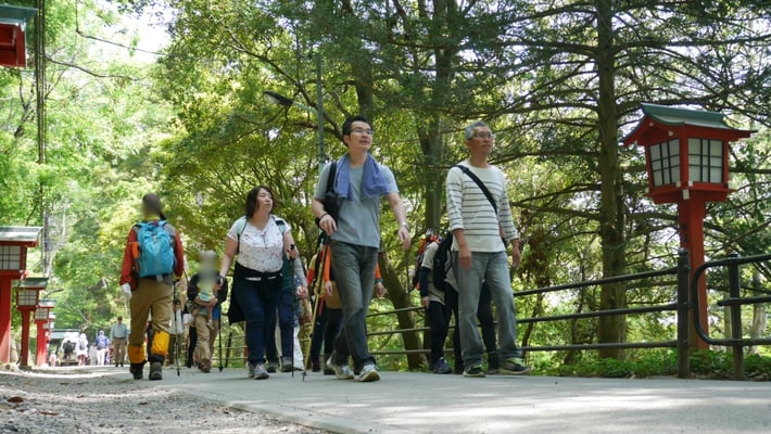 新緑の参道を歩きます。