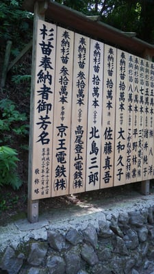 杉の苗を寄進した方の中には、八王子在住の大御所歌手の名前が。