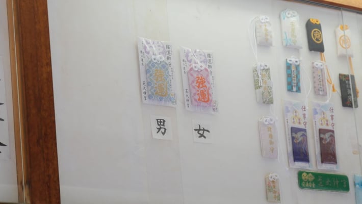 男女別だそうです