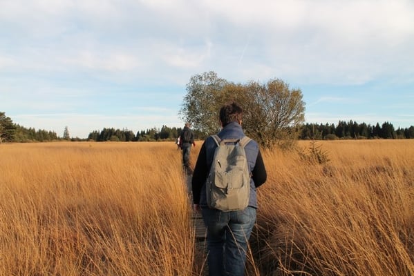 Wandern mit iris im venn