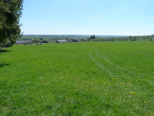 Aussicht auf den Victorhof