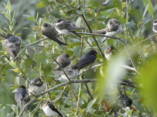 Foto: Christiane Bernitt