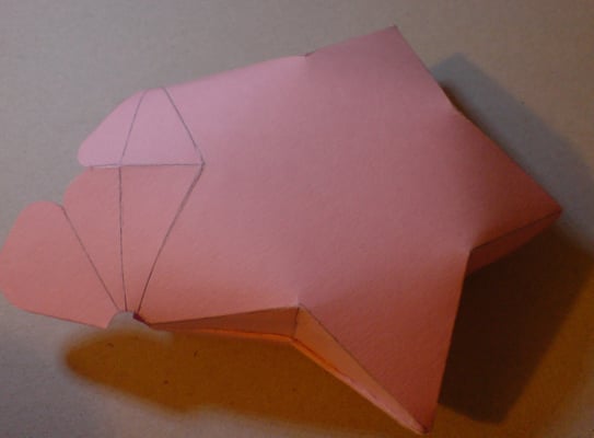 Weihnachtsstern - Verpackungsidee