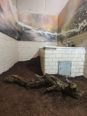 Installation Sumpfgebiete, Altes Volksbad Mannheim 2019