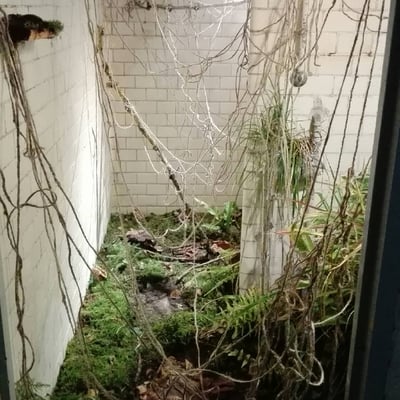 Installation Verflechtung, Altes Volksbad Mannheim 2019