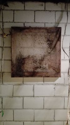 Durchblick, Altes Volksbad Mannheim 2019