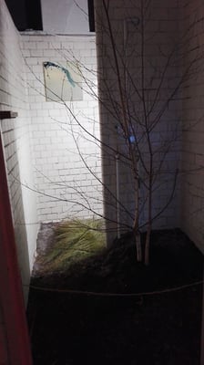 Installation Solitaire, Altes Volksbad Mannheim 2019