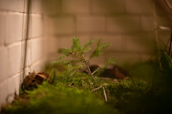 Installation Verflechtung (c) KP-H, Altes Volksbad Mannheim 2019