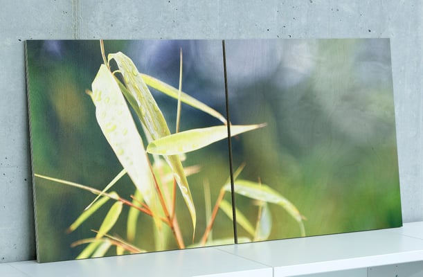 Fotodruck auf Holz