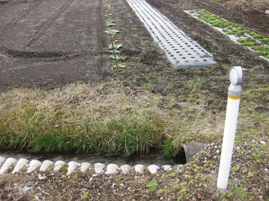 この程度の用水路の水力が、動力となっています