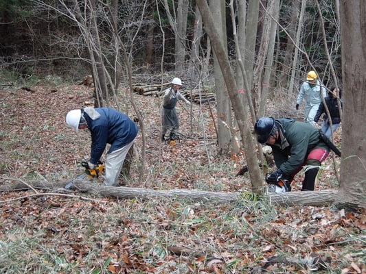 伐倒・玉切りグループ活動４