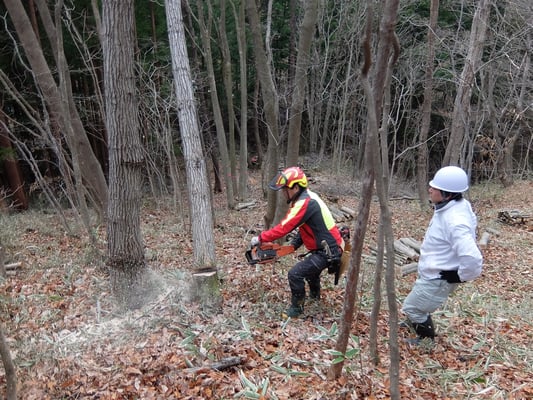伐倒・玉切りグループ活動１