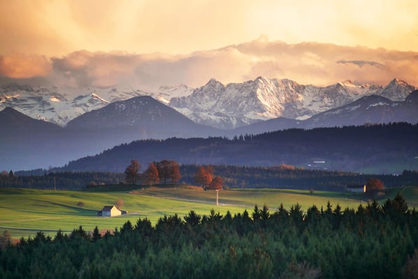 cco by Albrecht Fietz / Pixabay