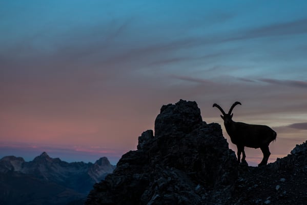 Ausblicke in der Region Tirol West / © Bildarchiv Tirol West - Fotograf Daniel Zangerl