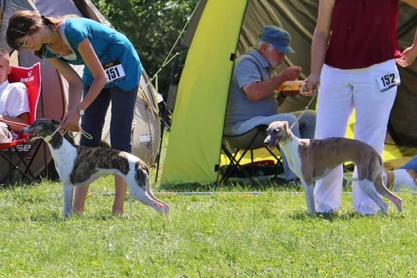 Daphne - Daphne von Boitin und Lotte - Freya von Boitin