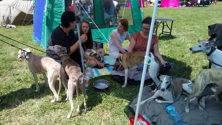 alle gemütlich beisammen im Schatten