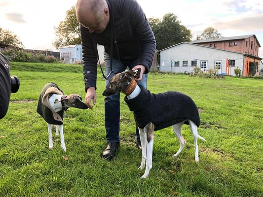 Winona (Feronia von Boitin) mit Bruder Kalle (Fontus  v. B.)