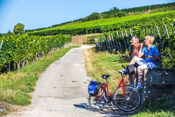 Auggen Weinberge / Nachweis: www.radweg-reisen.com