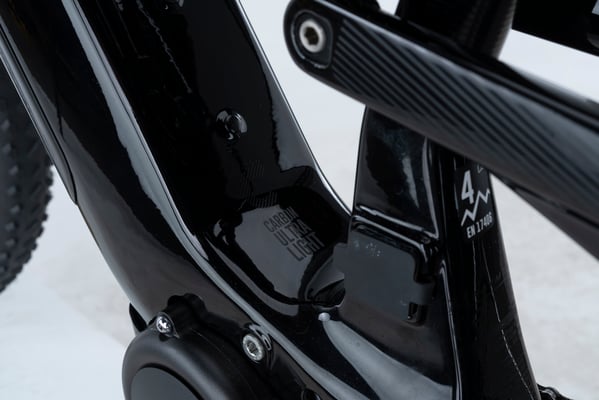 R Raymon AirRay Light-E-Mountainbike