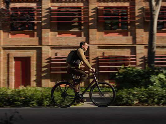 Stout Ampler BCN CG © Ampler Bike