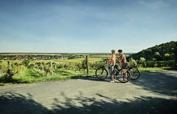 Ausblick ins Burgenland ©Burgenland Tourismus Oliver Gast