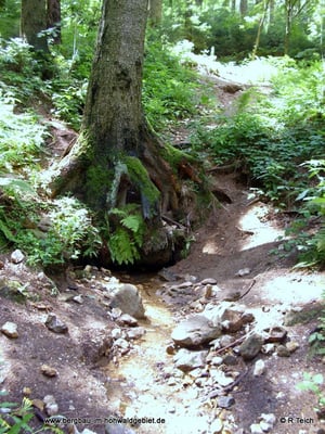 Verbrochener Stolleneingang