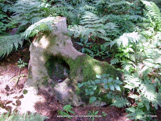 Ein Teufelsfuß am Goldberg