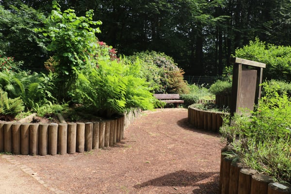 Weg im Blindengarten