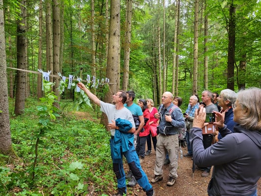 Die Teilnehmer konnten ihre Artenkenntnis anhand vorgestellter Pflanzen testen 