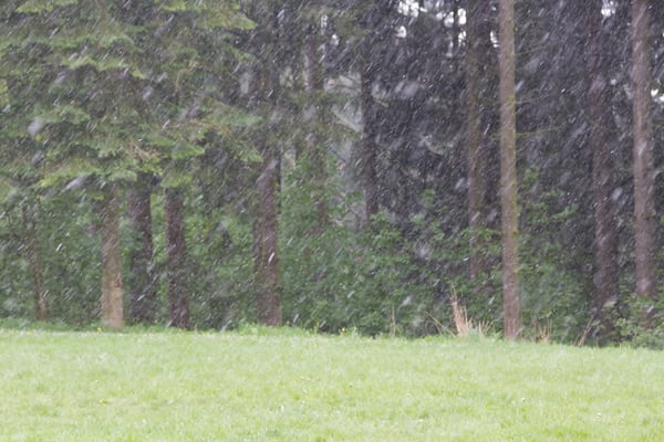 Montag: zum Abschluss beginnt es sogar noch zu schneien (die Eisheiligen lassen grüßen)