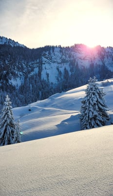 Zauberhafte Winterlandschaft