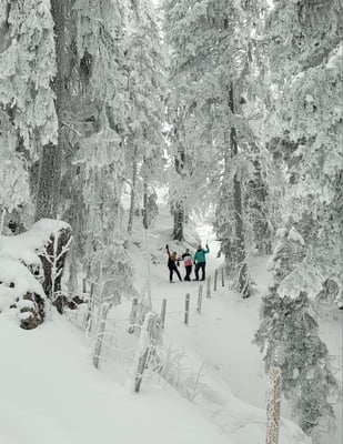 Freundschaften pflegen.