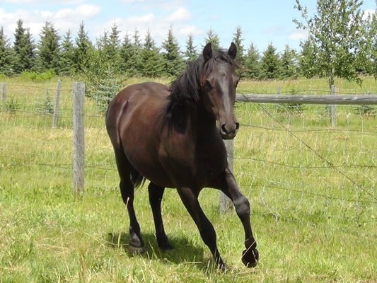 Blain Revelstoke Benjamin