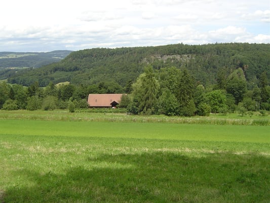 Aussicht zum Biohof Rüebisberg