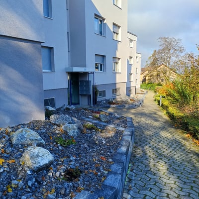 Dubach Garten - Baustelle Forch