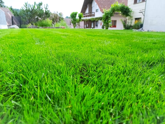 Dubach Garten Kundengärtner Gartengestaltung