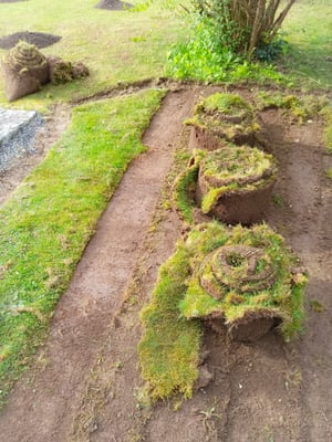 Dubach Garten Kundengärtner Blumenrasen