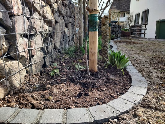 Dubach Garten Randabschluss